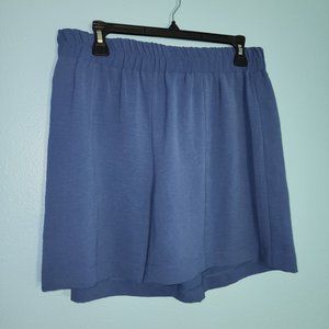 Common Sense EUC Blue Shorts size L